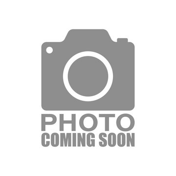 team member photo coming soon